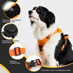 Flausi FlexiGuard™ 2-in-1 Hundegeschirr mit Rollleine