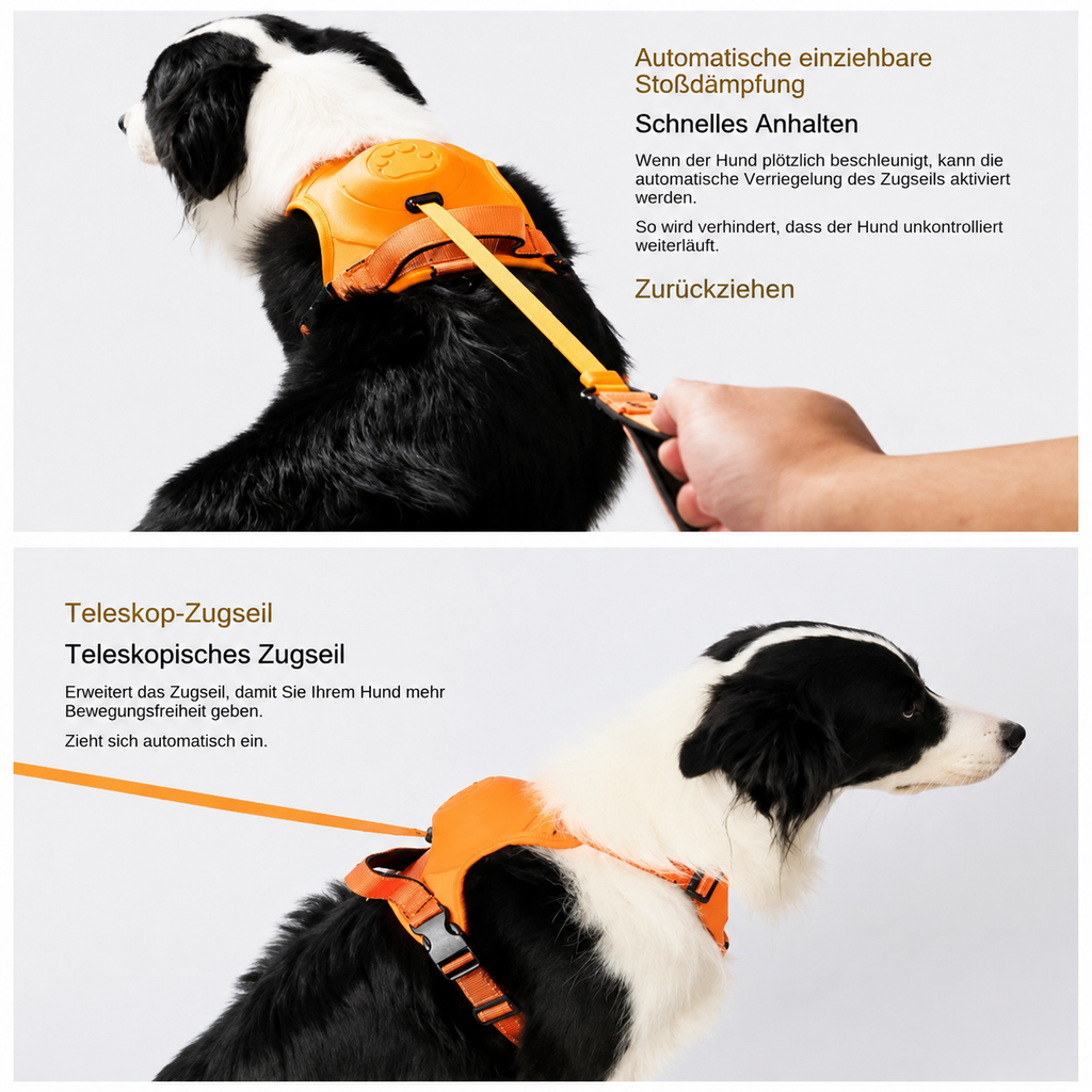 Flausi FlexiGuard™ 2-in-1 Hundegeschirr mit Rollleine