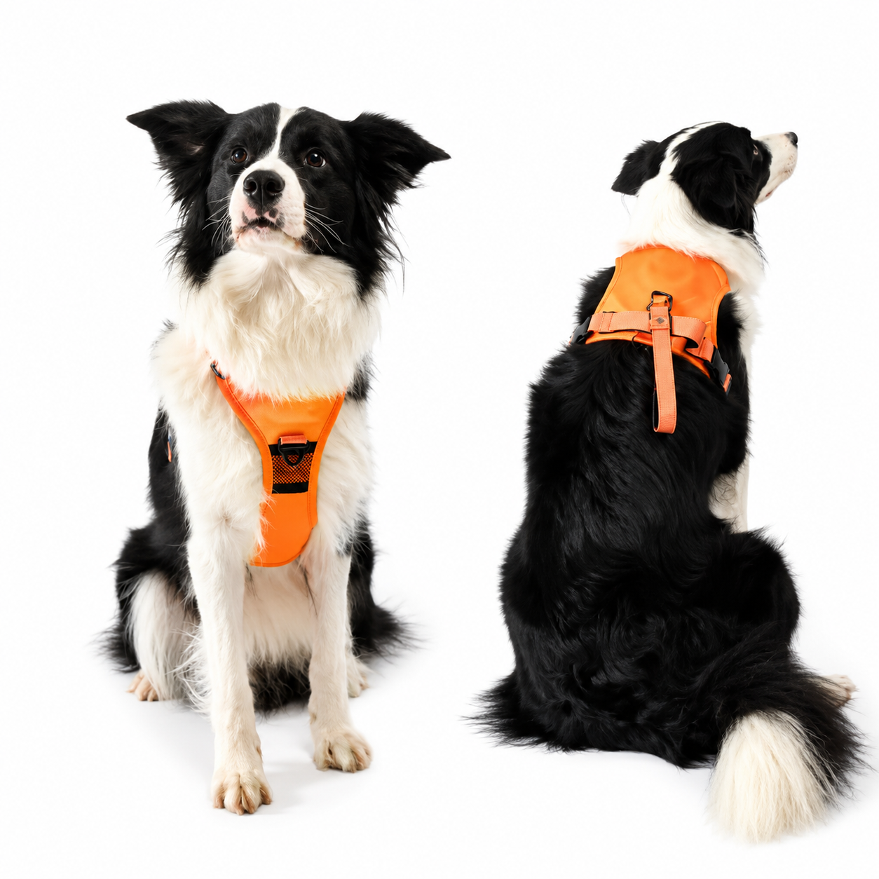 Flausi FlexiGuard™ 2-in-1 Hundegeschirr mit Rollleine