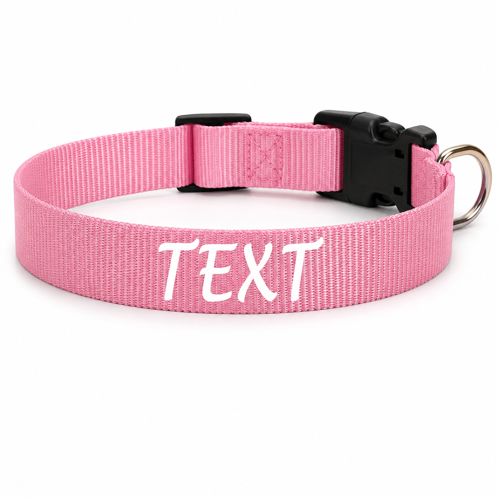 Flausi leichtes Reflektierendes personalisiertes Nylon Halsband für Hunde