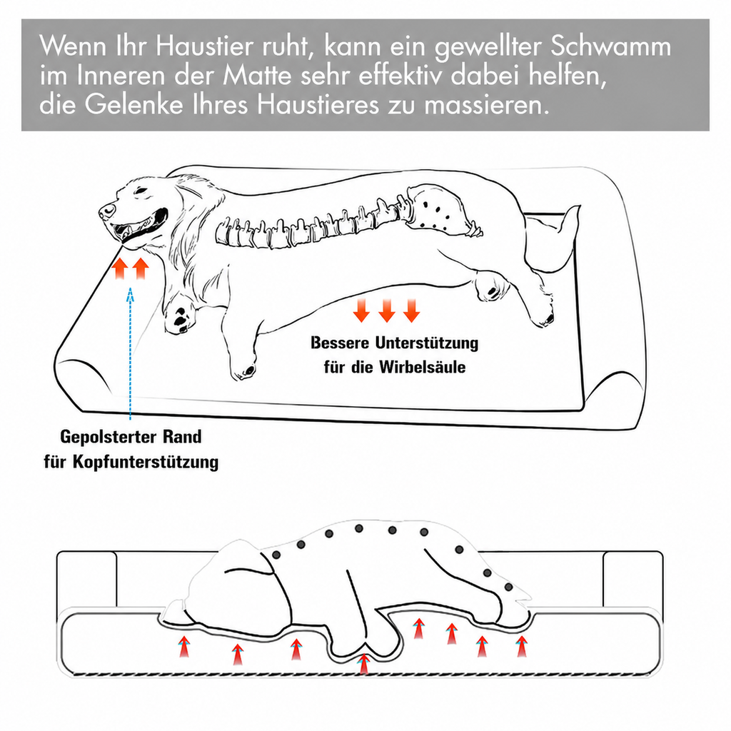 Flausi RückenRuhe™ XL orthopädisches Hundebett für große Hunde