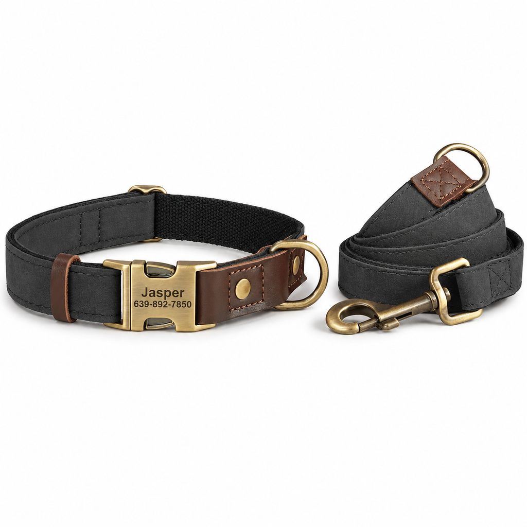 Flausi Edles personalisiertes Halsband- & Leinen-Set für Hunde