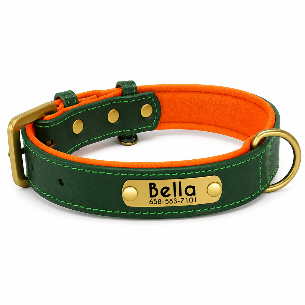 Flausi Edles personalisiertes Leder Halsband- & Leinen-Set für Hunde