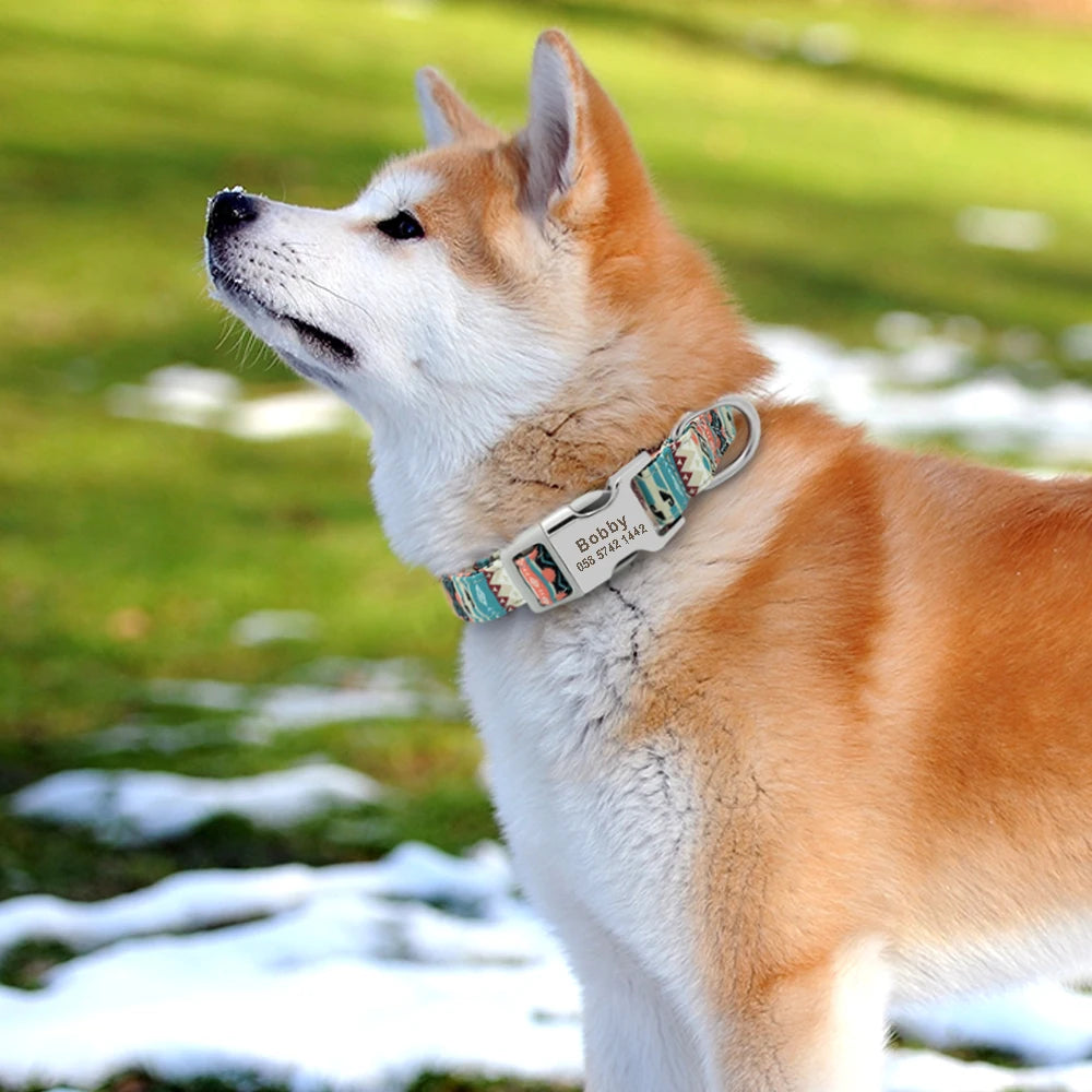 Flausi personalisiertes Nylon Halsband mit Design für Hunde