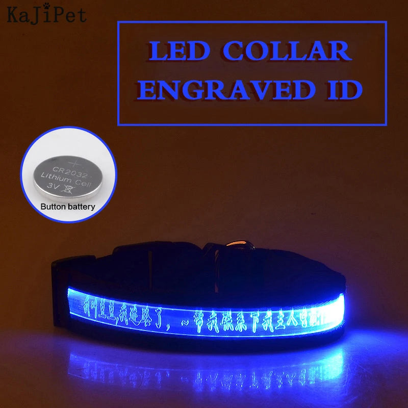 Flausi LeuchtName™ personalisierbares LED-Halsband für Hunde