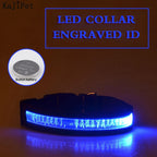 Flausi LeuchtName™ personalisierbares LED-Halsband für Hunde