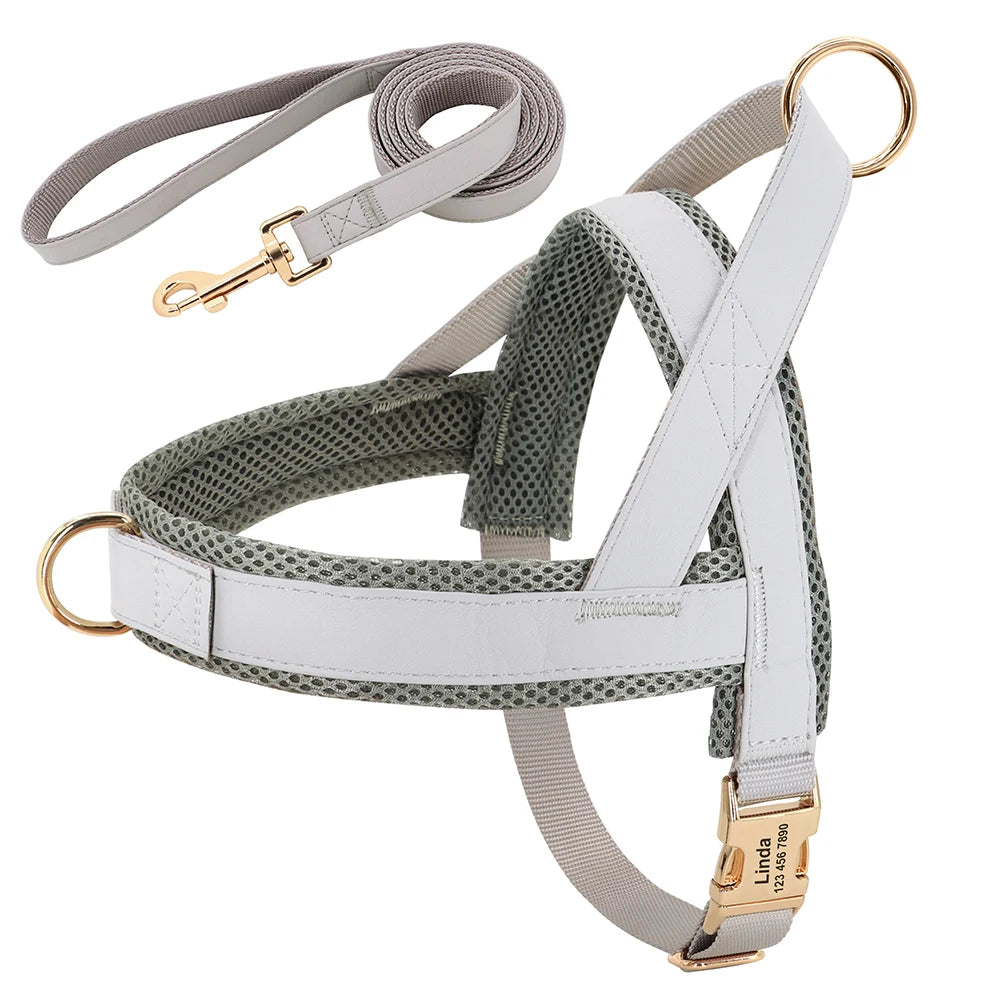 Flausi edles personalisierbares Geschirr – Leder-Mesh-Set: Halsband, Geschirr & Leine