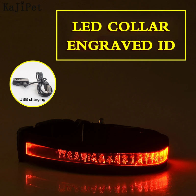 Flausi LeuchtName™ personalisierbares LED-Halsband für Hunde