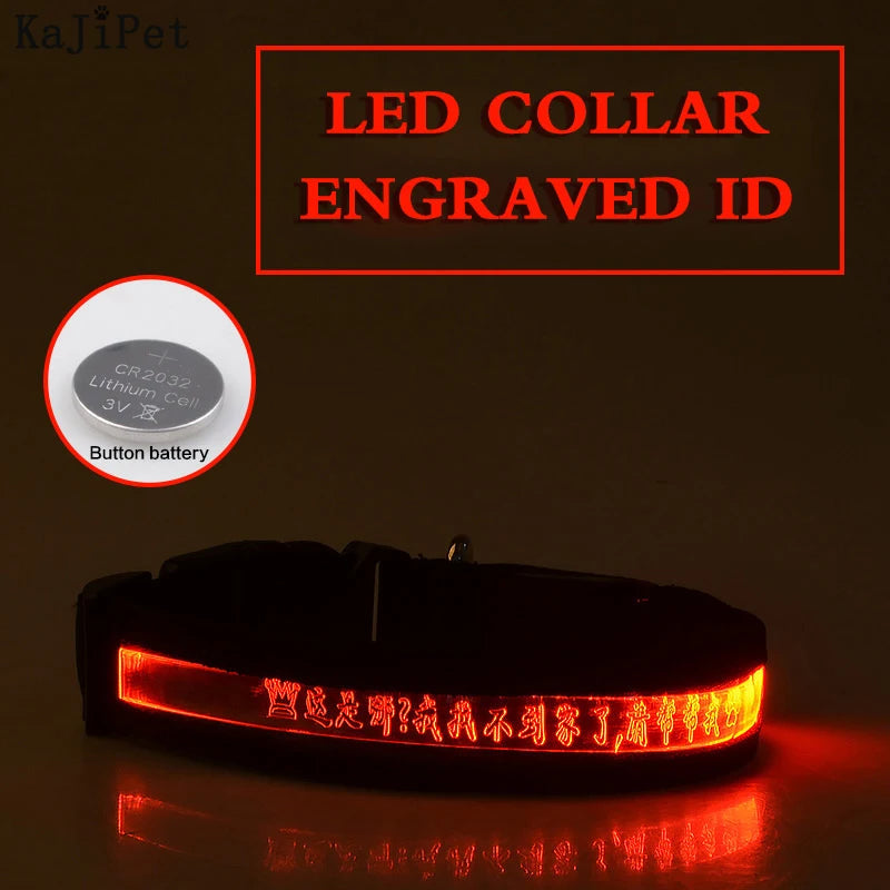 Flausi LeuchtName™ personalisierbares LED-Halsband für Hunde