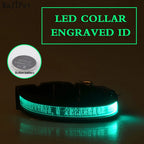 Flausi LeuchtName™ personalisierbares LED-Halsband für Hunde