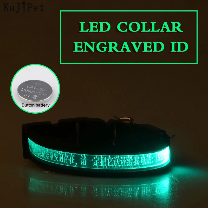 Flausi LeuchtName™ personalisierbares LED-Halsband für Hunde