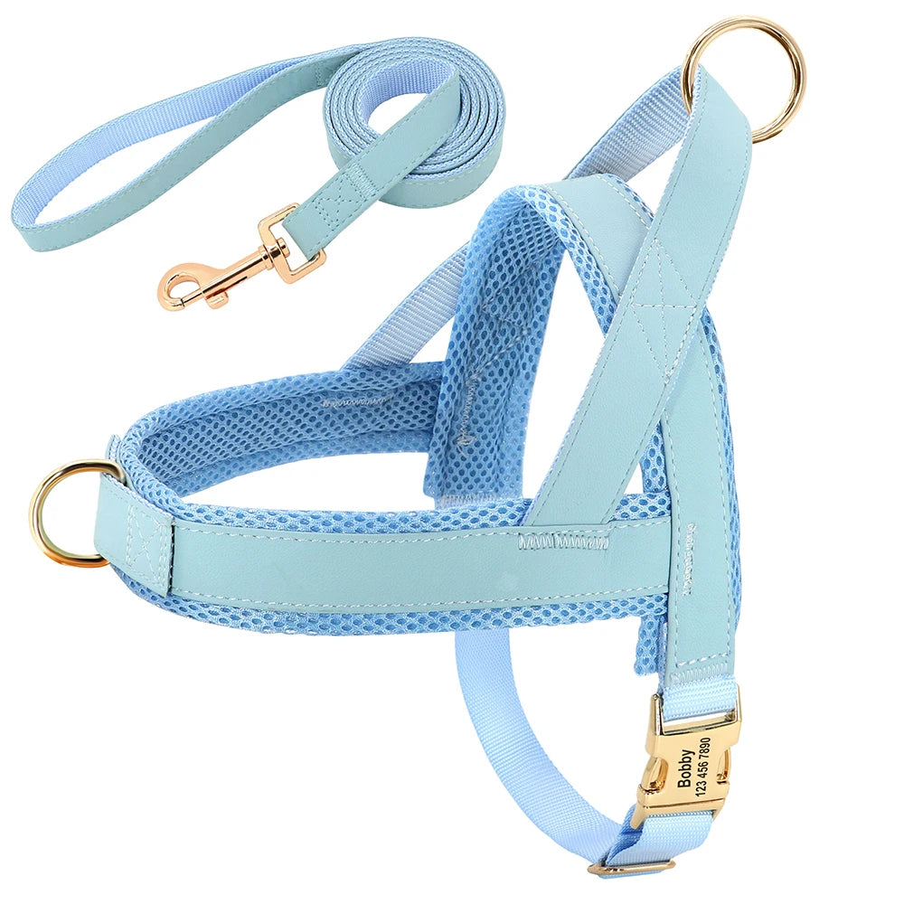 Flausi edles personalisierbares Geschirr – Leder-Mesh-Set: Halsband, Geschirr & Leine
