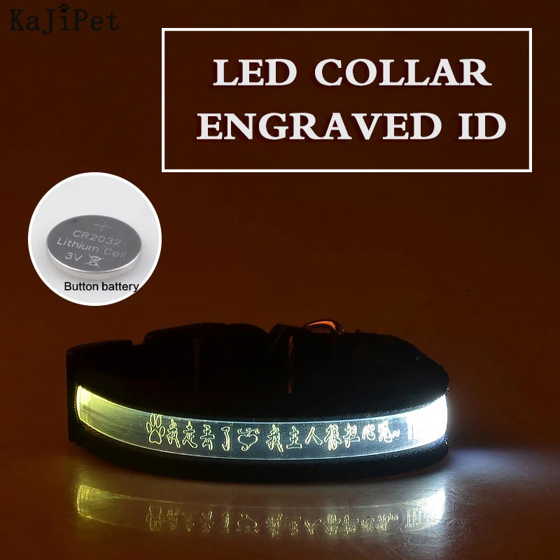 Flausi LeuchtName™ personalisierbares LED-Halsband für Hunde