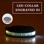 Flausi LeuchtName™ personalisierbares LED-Halsband für Hunde