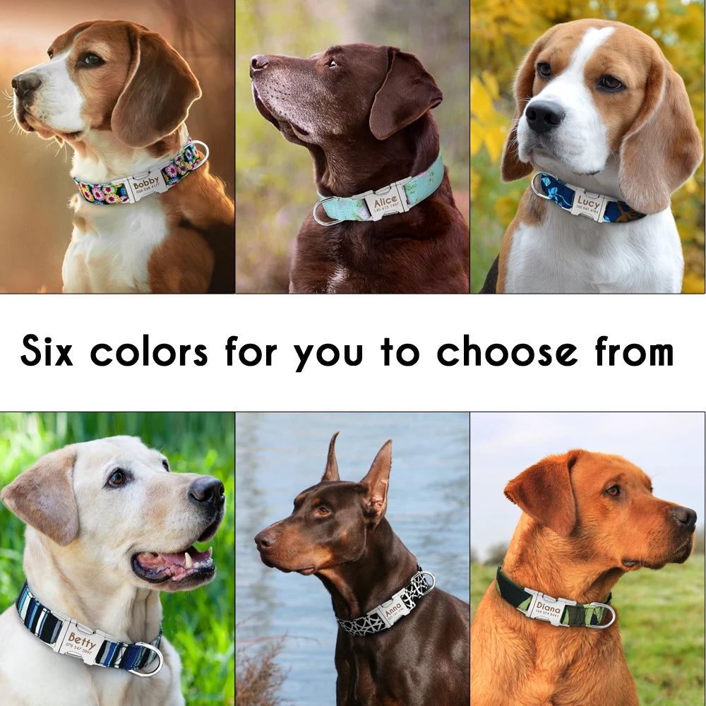 Flausi personalisiertes Nylon Halsband mit Design für Hunde