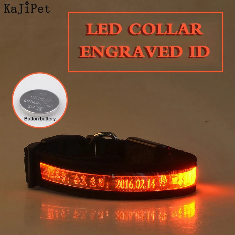 Flausi LeuchtName™ personalisierbares LED-Halsband für Hunde