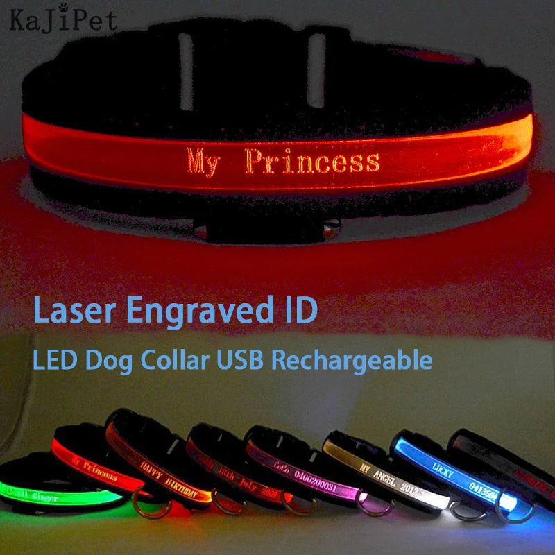 Flausi LeuchtName™ personalisierbares LED-Halsband für Hunde