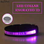 Flausi LeuchtName™ personalisierbares LED-Halsband für Hunde