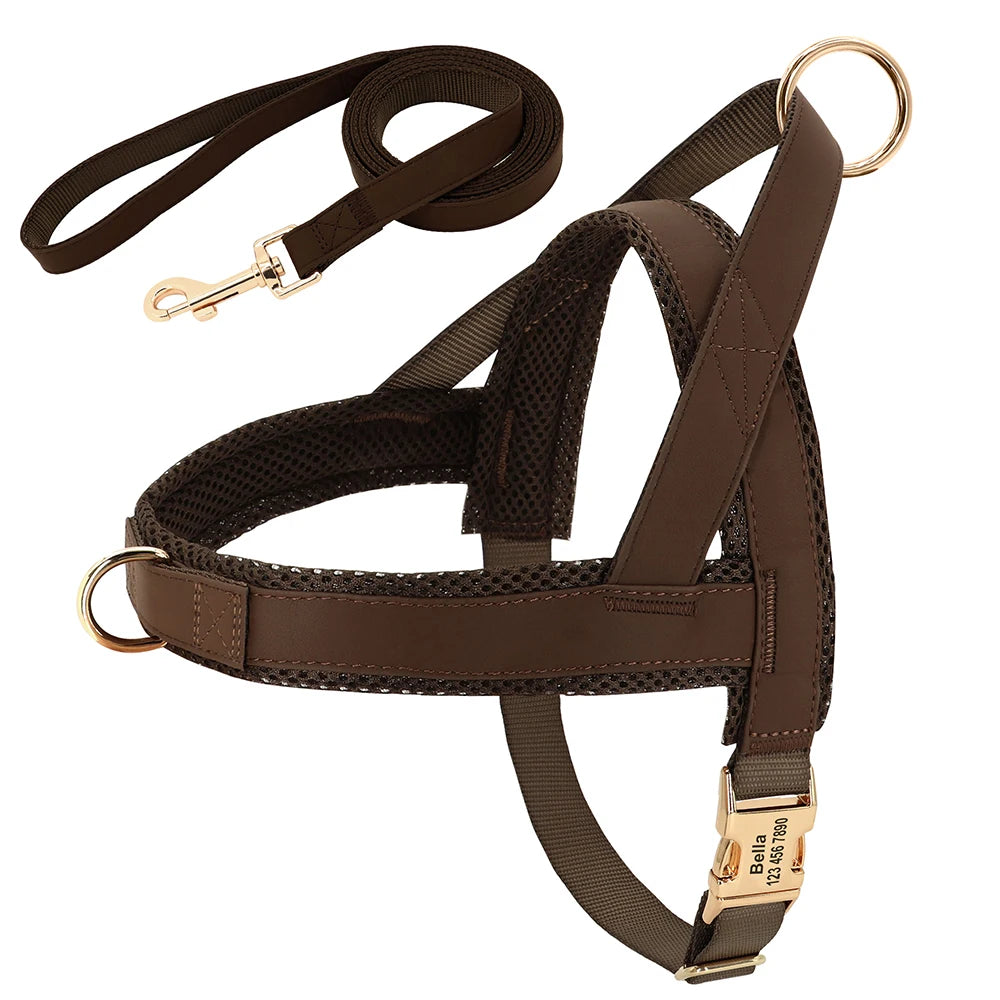 Flausi edles personalisierbares Geschirr – Leder-Mesh-Set: Halsband, Geschirr & Leine