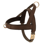 Flausi edles personalisierbares Geschirr – Leder-Mesh-Set: Halsband, Geschirr & Leine