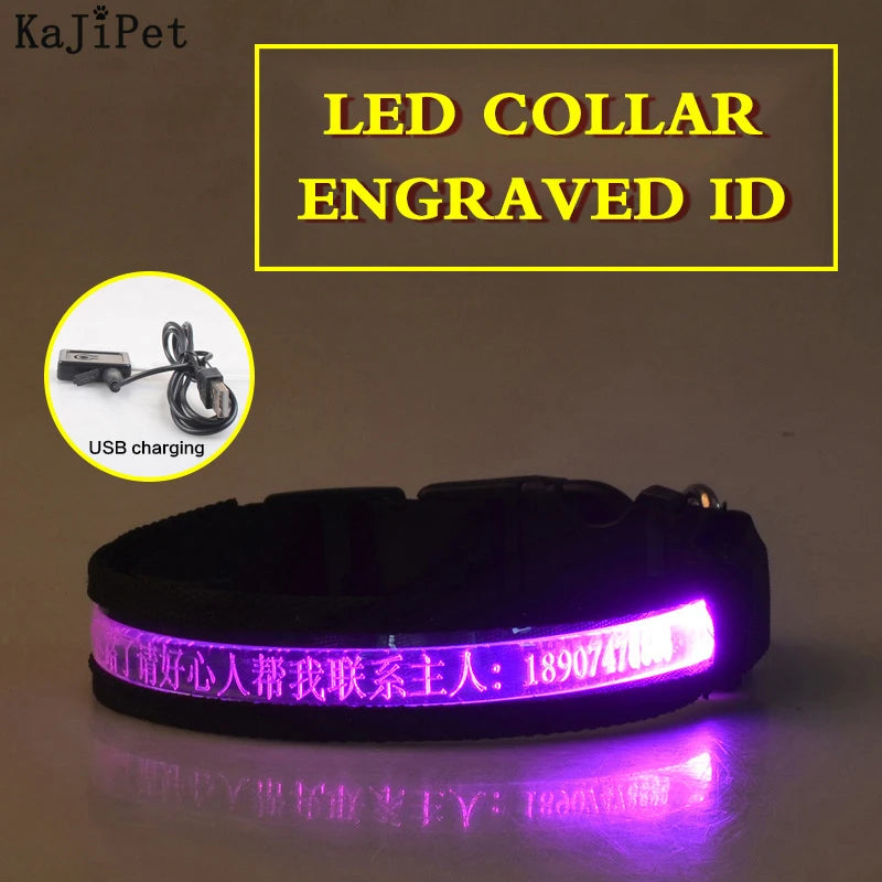 Flausi LeuchtName™ personalisierbares LED-Halsband für Hunde