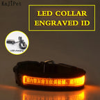 Flausi LeuchtName™ personalisierbares LED-Halsband für Hunde