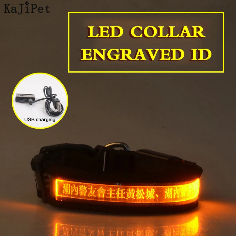 Flausi LeuchtName™ personalisierbares LED-Halsband für Hunde