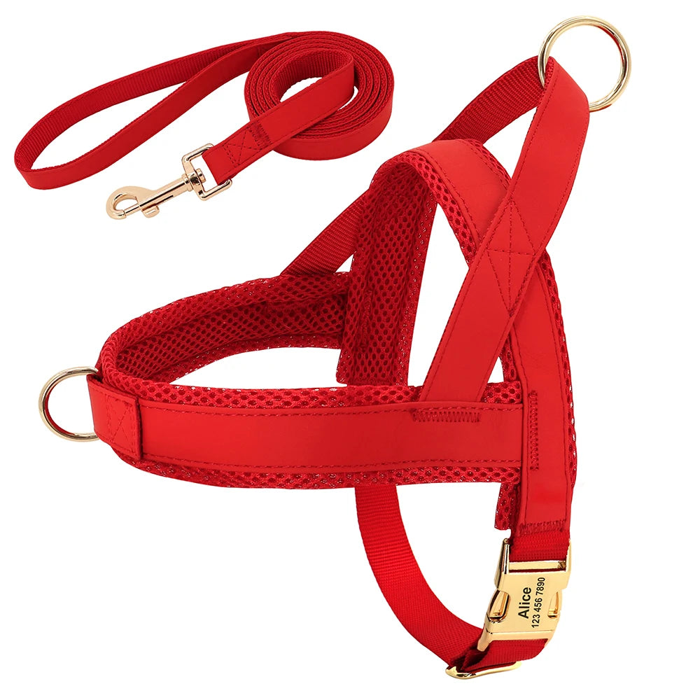 Flausi edles personalisierbares Geschirr – Leder-Mesh-Set: Halsband, Geschirr & Leine