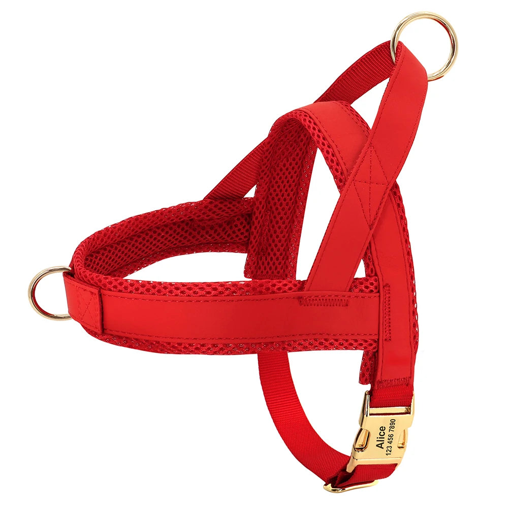 Flausi edles personalisierbares Geschirr – Leder-Mesh-Set: Halsband, Geschirr & Leine