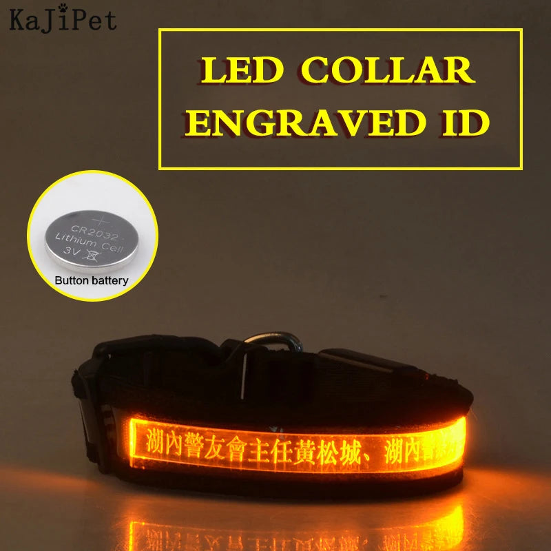 Flausi LeuchtName™ personalisierbares LED-Halsband für Hunde