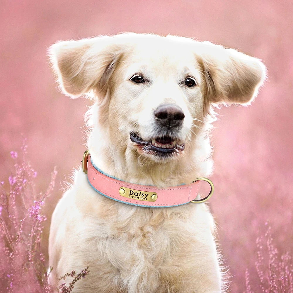 Flausi Edles personalisiertes Leder Halsband- & Leinen-Set für Hunde