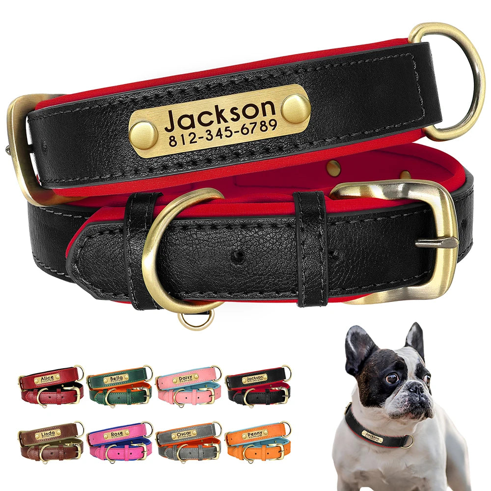 Flausi Edles personalisiertes Leder Halsband für Hunde