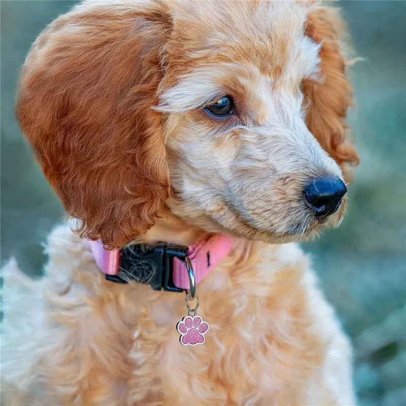 Personalized Dog Cat Plate Tags Engraved Puppy Pet ID Name Collar Tag Alloy Paw Glitter Pendant Pets Dogs Accessories