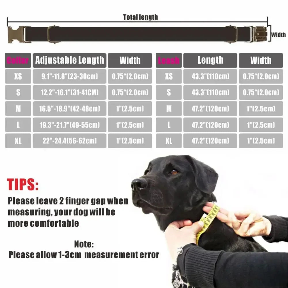 Flausi NameLux™ personalisiertes Premium Hunde- & Katzenhalsband mit hochwertiger Gravur