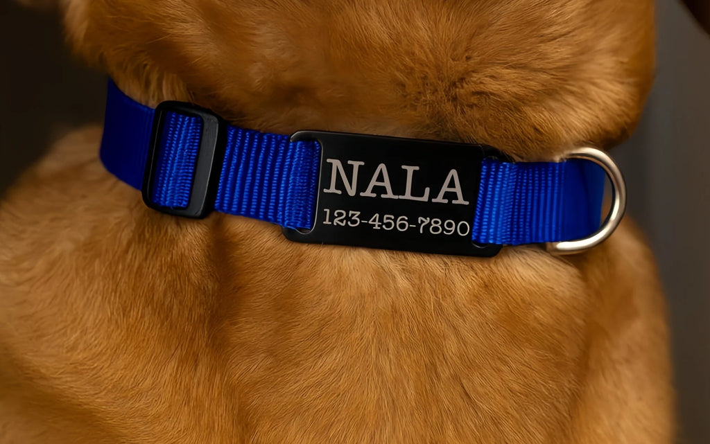 Silent Slide-On Pet ID Tag, Personalized Engraved Dog Cat Collar Tag, Custom Name Phone Number Pet Accessory