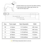 Flausi Edles personalisiertes Leder Halsband für Hunde