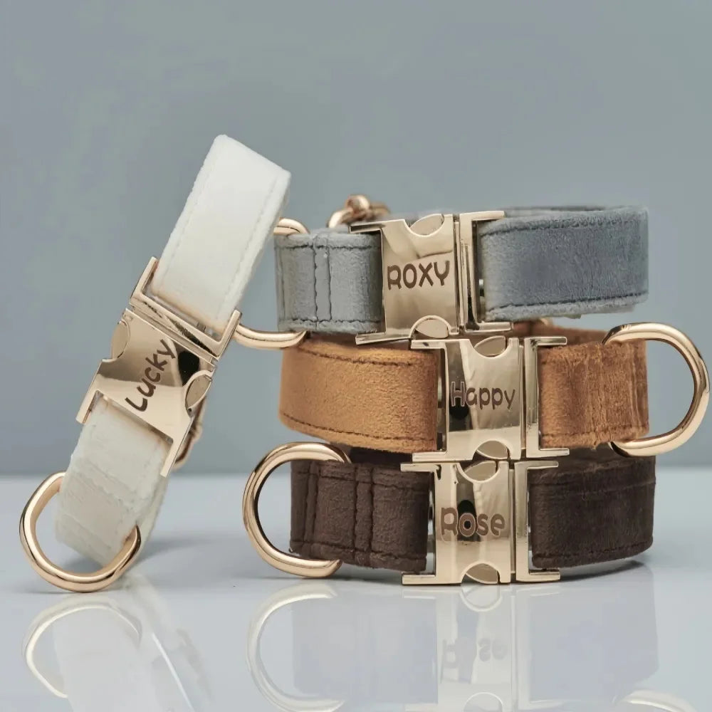 Flausi personalisiertes Premium Halsband aus Samt für Hunde