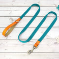 Flausi personalisiertes Nylon Halsband- & Leinen-Set für Hunde
