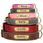 Flausi Edles personalisiertes Leder Halsband- & Leinen-Set für Hunde