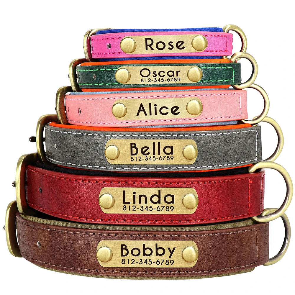 Flausi Edles personalisiertes Leder Halsband für Hunde