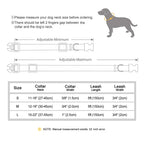 Flausi personalisiertes Nylon Halsband- & Leinen-Set für Hunde