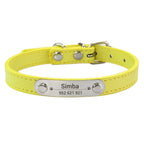 Flausi NamensPfote™ personalisiertes Hunde- & Katzenhalsband Leder