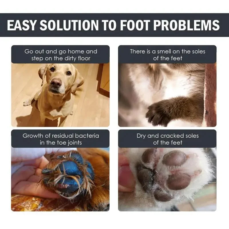 Flausi PfotenSchaum™ natürlicher Pfotenreiniger ohne Ausspülen für Hunde & Katzen 100 Ml.