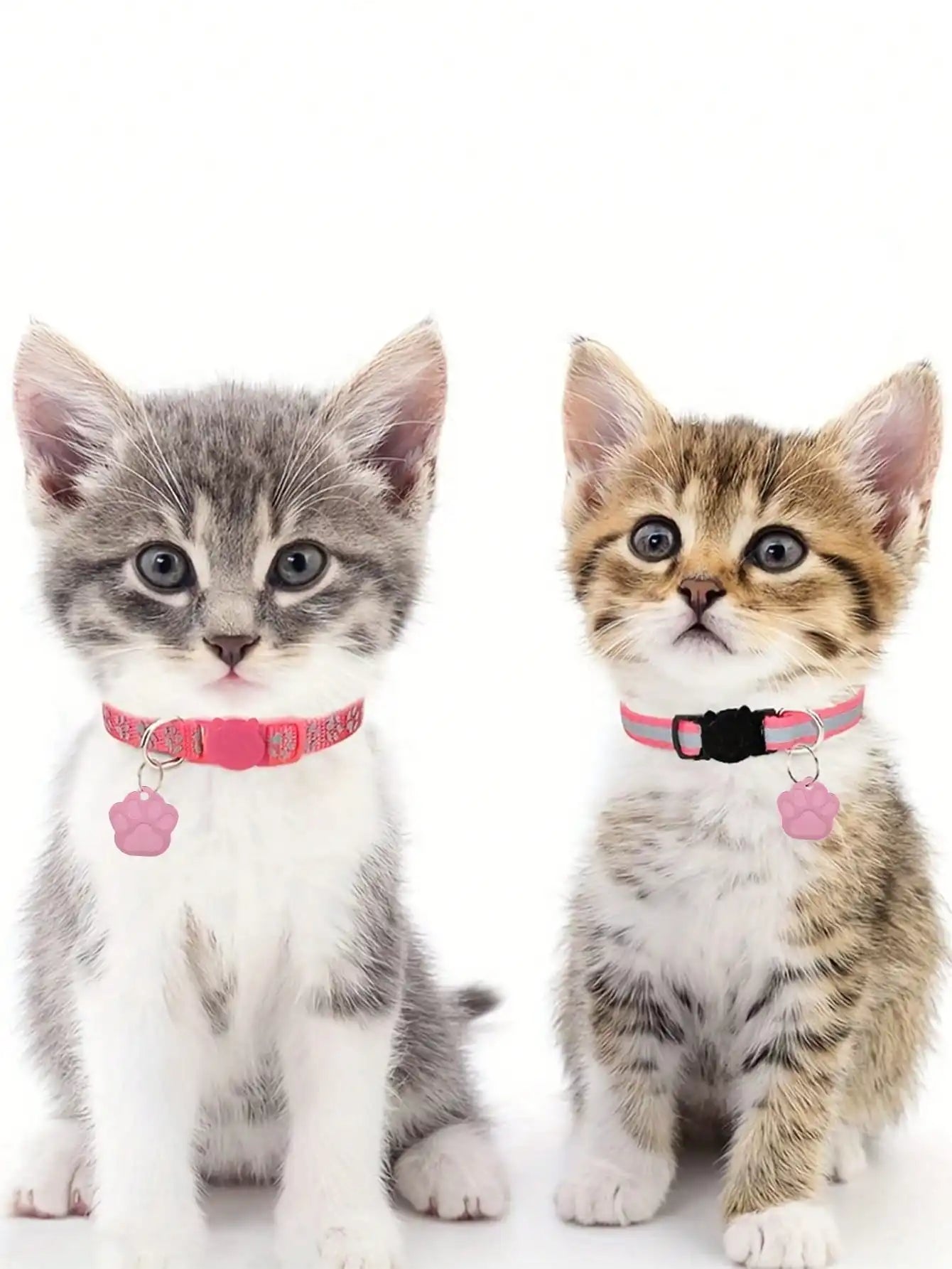 Personalized Paw Cat ID Tags Customized Pet Id Tag For Cat NameTag Customized Cat ID Tags For Small Dog Laser Engraving