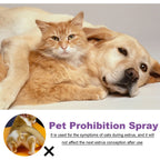 Flausi RuheSpray™ Anti-Stress Beruhigungsspray für Hunde & Katzen 50 Ml.