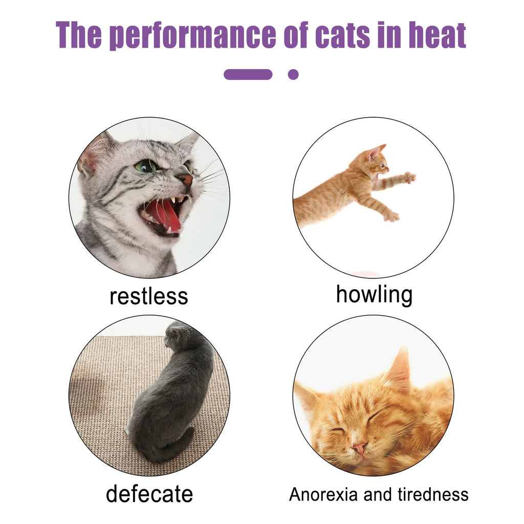 Flausi RuheSpray™ Anti-Stress Beruhigungsspray für Hunde & Katzen 50 Ml.