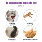 Flausi RuheSpray™ Anti-Stress Beruhigungsspray für Hunde & Katzen 50 Ml.