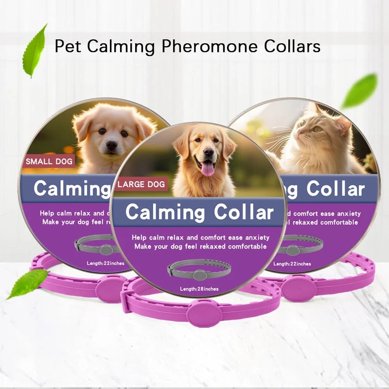 Flausi RuheBand™ Anti-Stress Halsband für Hunde & Katzen