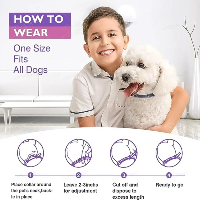 Flausi RuheBand™ Anti-Stress Halsband für Hunde & Katzen