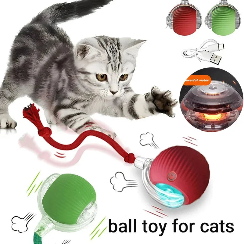Flausi JagdBall™ interaktiver Spielball für Katzen & kleine Hunde